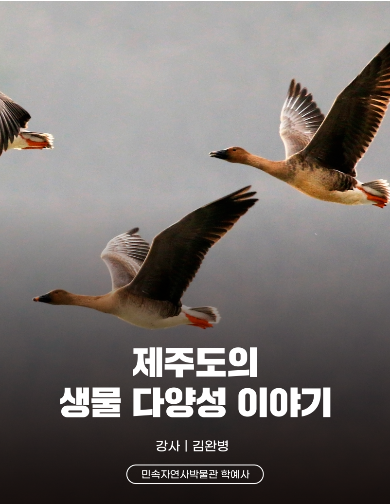 메인 상단 과정 배너 2_241030